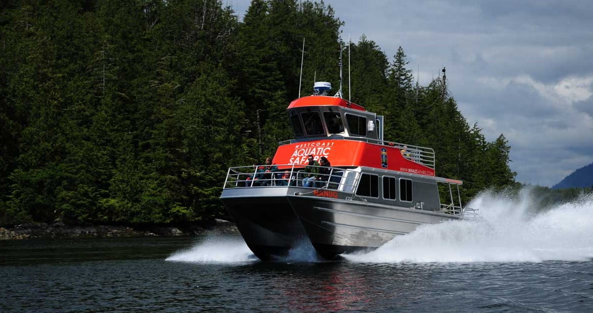 Whale Watch boat Pacific Rim Tofino