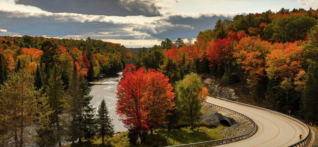 fall colours in Muskoka Cross Canada by Motorcoach