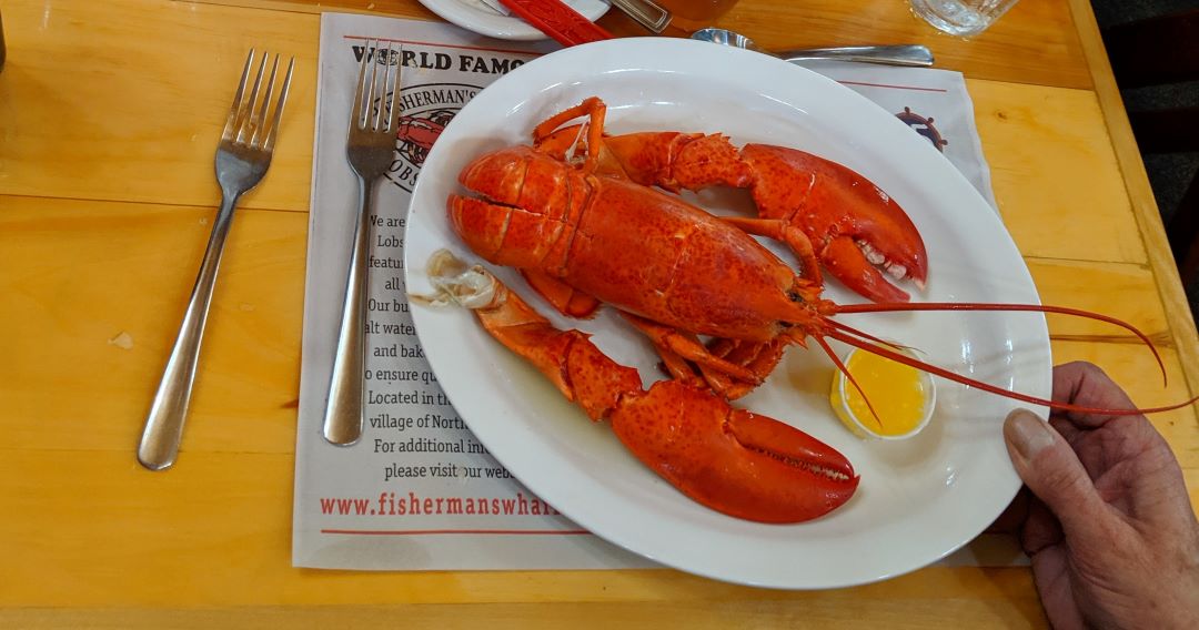 cooked lobster on a plate Eastern Canada
